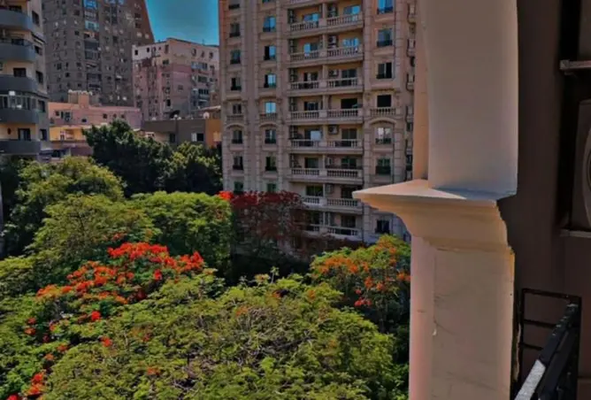 71917607 - Property Image 3