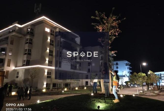 8542982 - Property Image 3