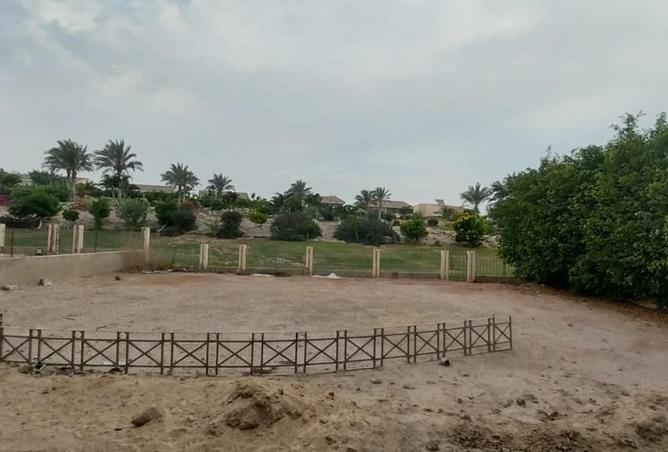 100093938 - الصورة الرئيسية للعقار
