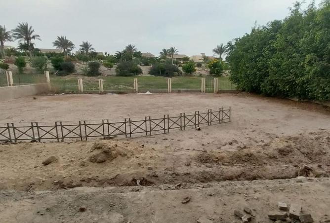 100093938 - صورة العقار 3