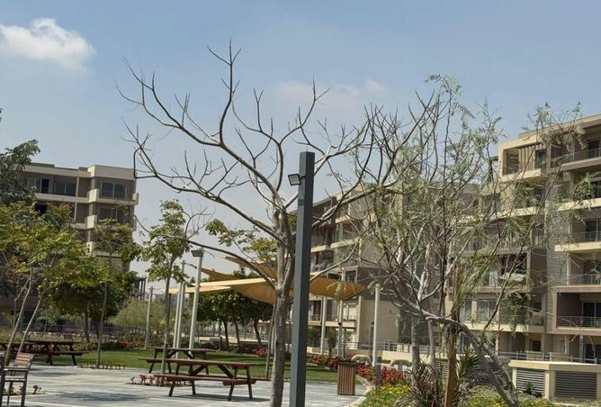 65163816 - صورة العقار 2