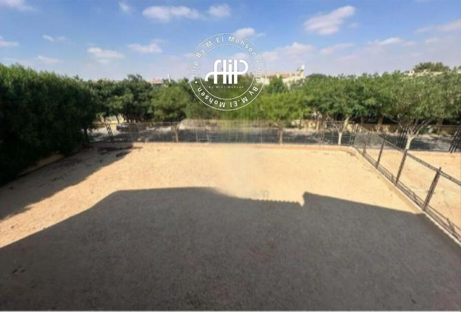 75965974 - صورة العقار 3