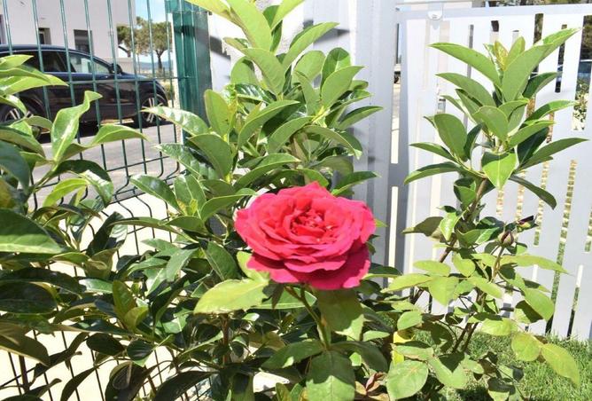 54494743 - صورة العقار 2