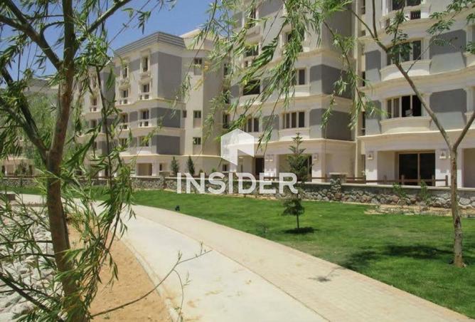 96581127 - Property Image 3