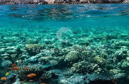 كبينه - غرفة نوم - 1 حمام للبيع في سوما كوڤز - سوما باى - سفاجا - الغردقة - محافظة البحر الاحمر