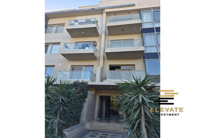 55994305 - Property Image 3