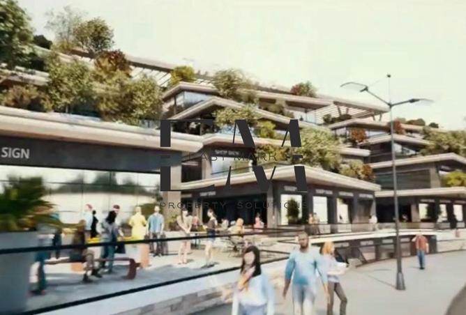 52186504 - Property Main Image