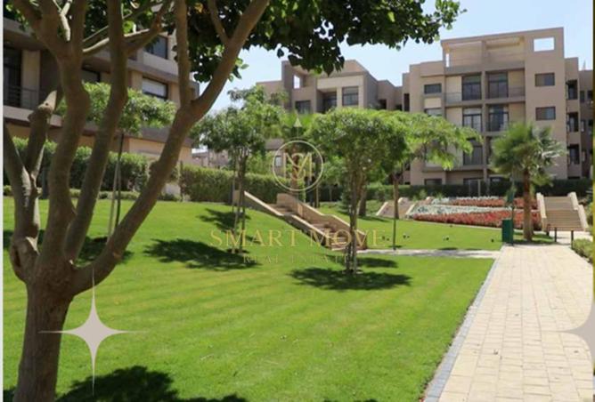 52719089 - صورة العقار 3