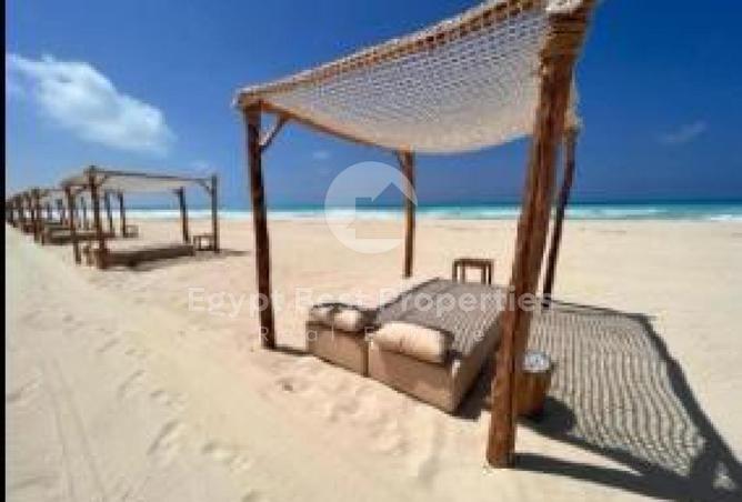83676725 - Property Image 2