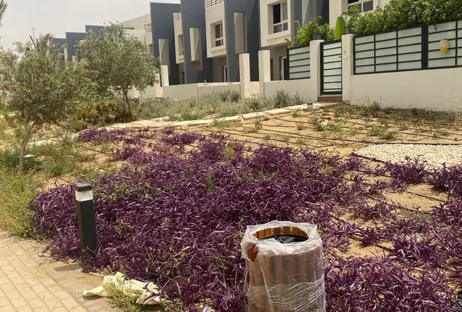 96584543 - صورة العقار 2