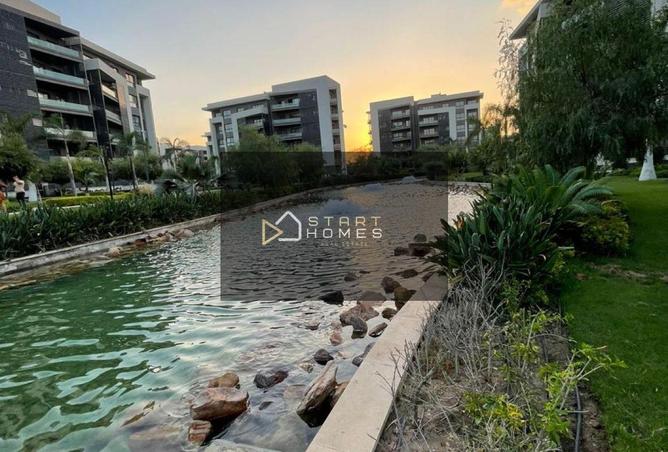 56500418 - Property Image 2