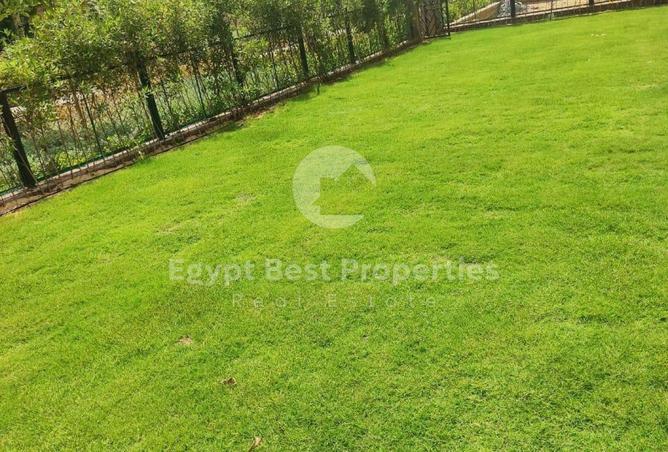 77875383 - Property Image 3