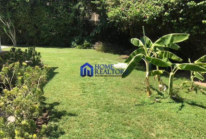 54503574 - Property Image 3