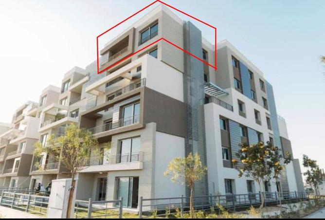 71644479 - Property Image 3