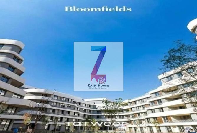 53472937 - صورة العقار 2