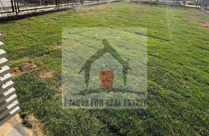 Apartment - 2 Bedrooms - 2 Bathrooms for sale in Palm Parks   Palm Hills - South Dahshur Link - 6 October City - Giza