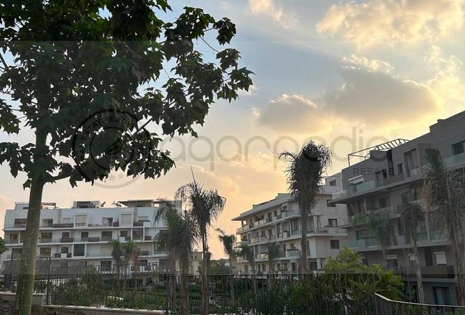 106854408 - Property Image 2