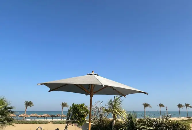 115453189 - صورة العقار 2