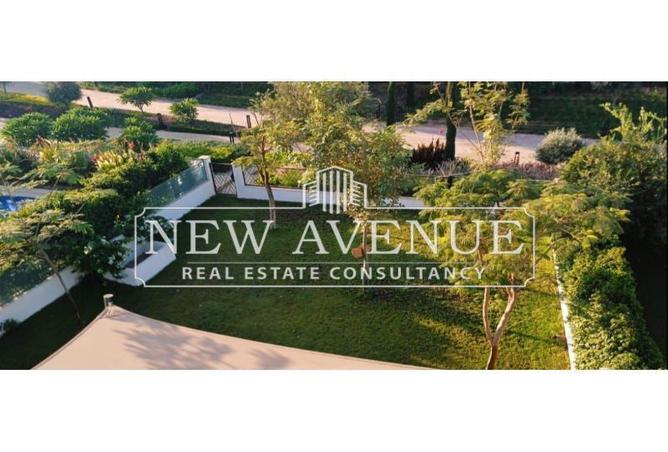 62643097 - Property Main Image