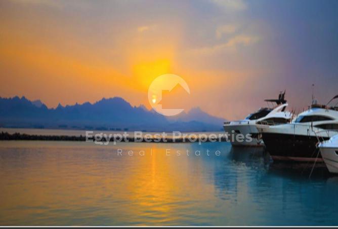 8496770 - Property Image 3