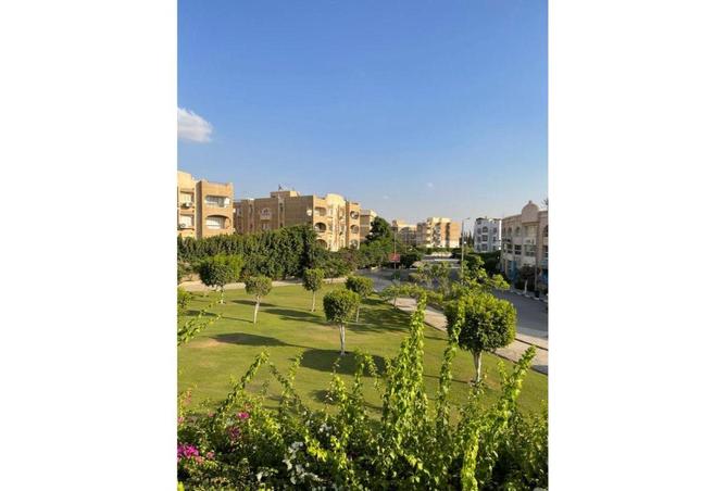 74597406 - صورة العقار 3