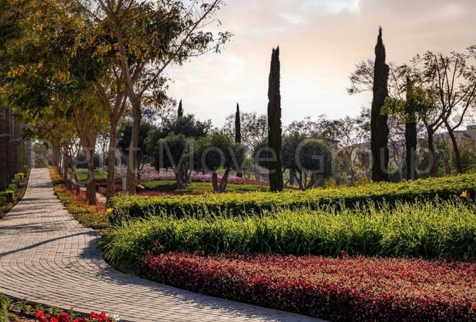 67740744 - Property Image 3