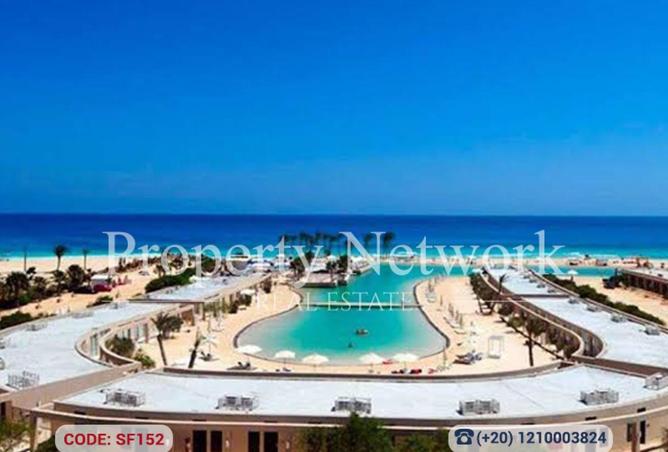 68261818 - Property Image 3