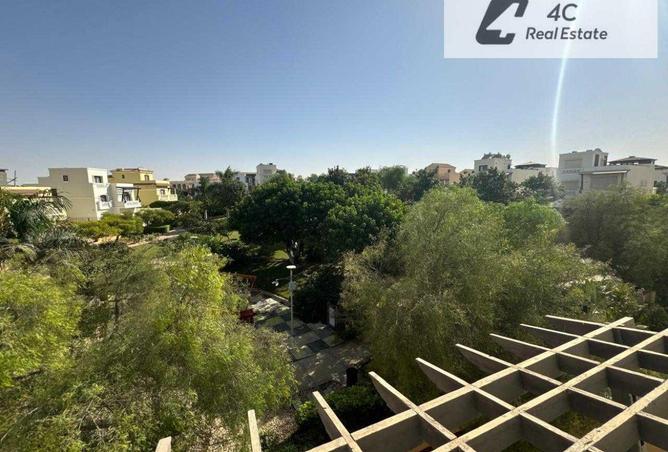 77878538 - Property Image 3