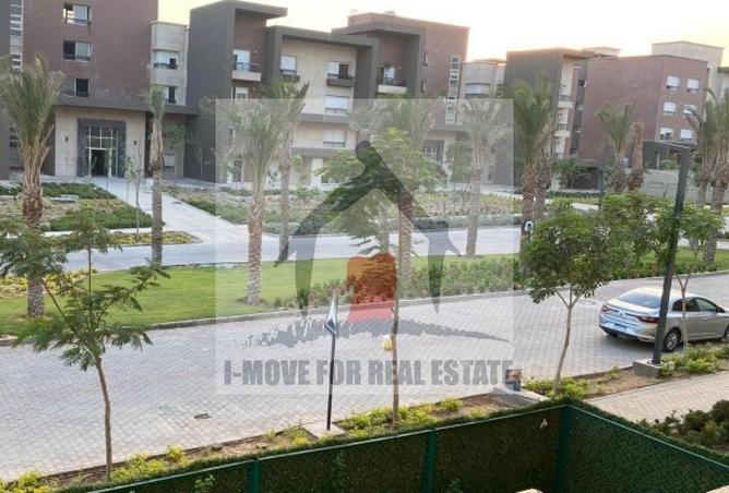 56256152 - Property Image 3