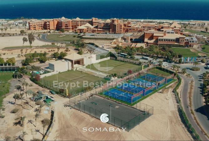 66436939 - Property Image 3