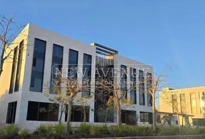 102350998 - Property Image 3