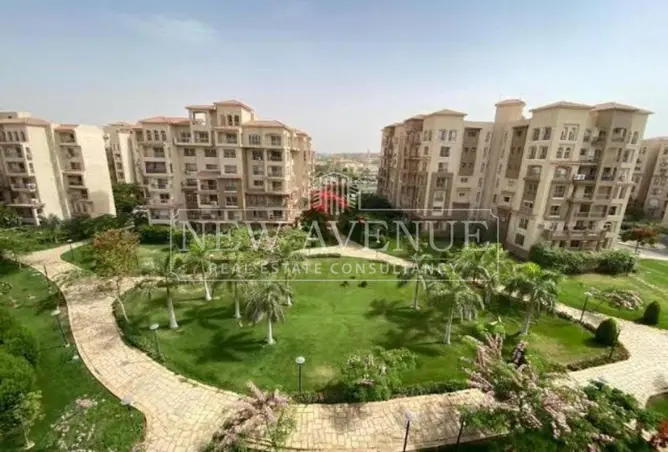 119319517 - Property Image 3