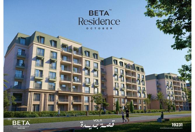 8516572 - Property Image 3