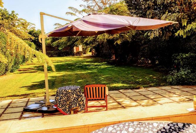 53973823 - Property Image 3