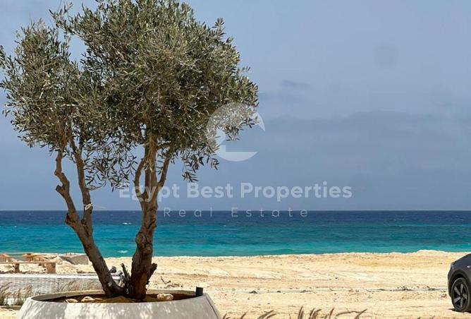 90186025 - صورة العقار 3