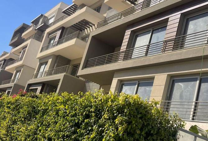 56253923 - Property Image 2