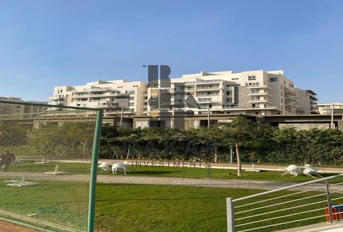 57496533 - Property Image 3