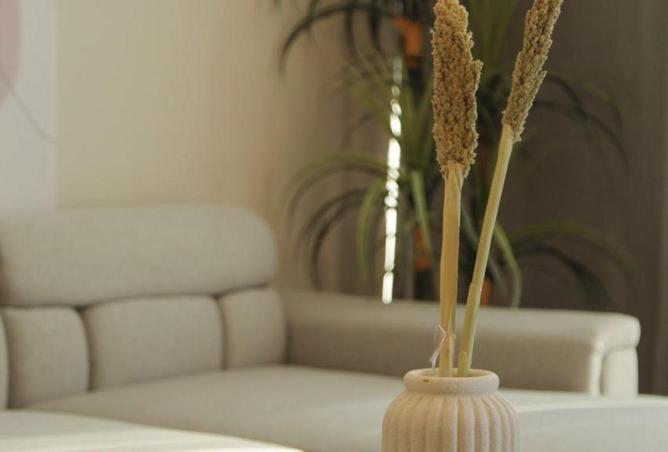 70363020 - صورة العقار 2