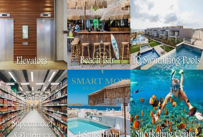 53723958 - Property Image 2