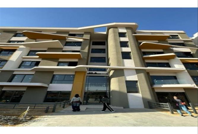 64899461 - Property Image 3