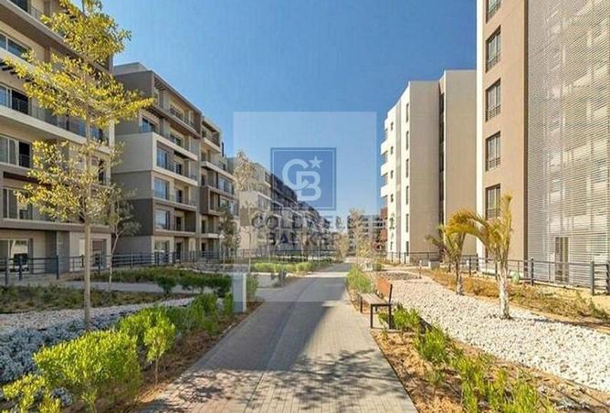 69561882 - Property Image 3