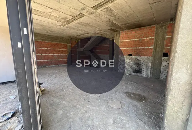 109635481 - Property Image 3