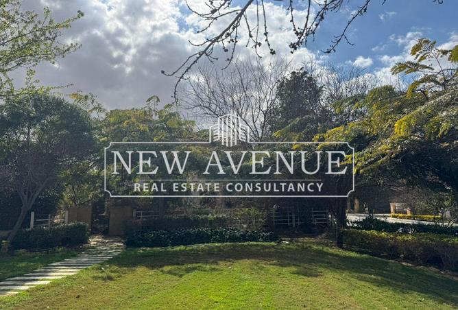 61204988 - Property Image 3