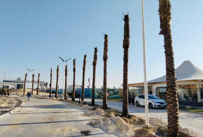 77606796 - صورة العقار 2