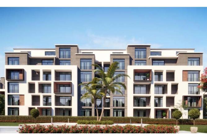 8645731 - Property Image 3