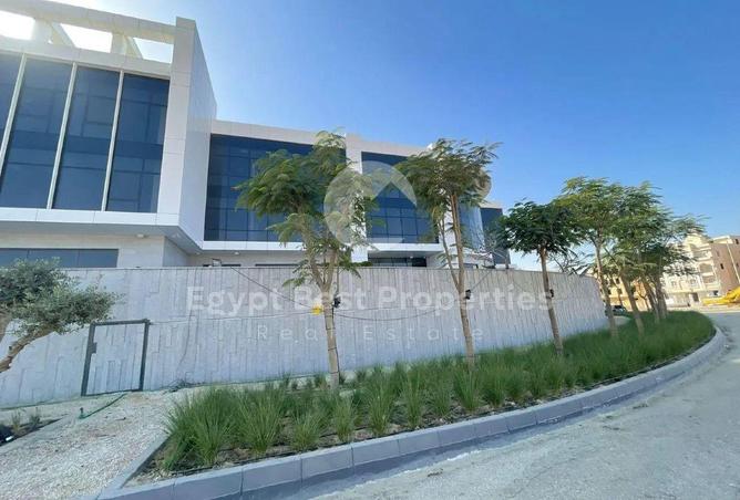 71655608 - صورة العقار 3