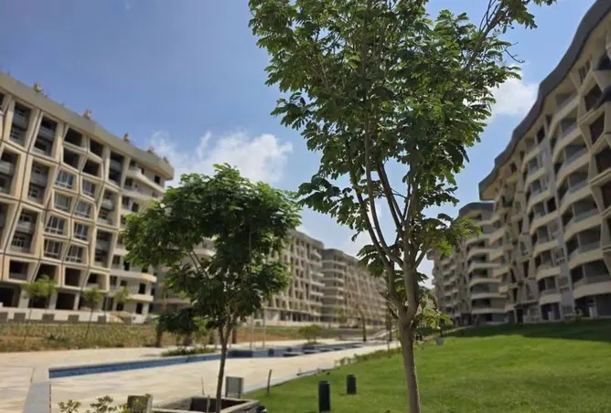 118810003 - Property Image 2