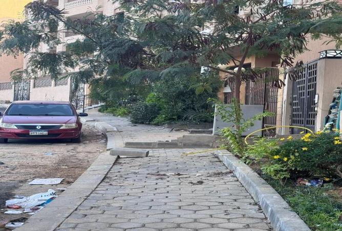 53724985 - صورة العقار 3