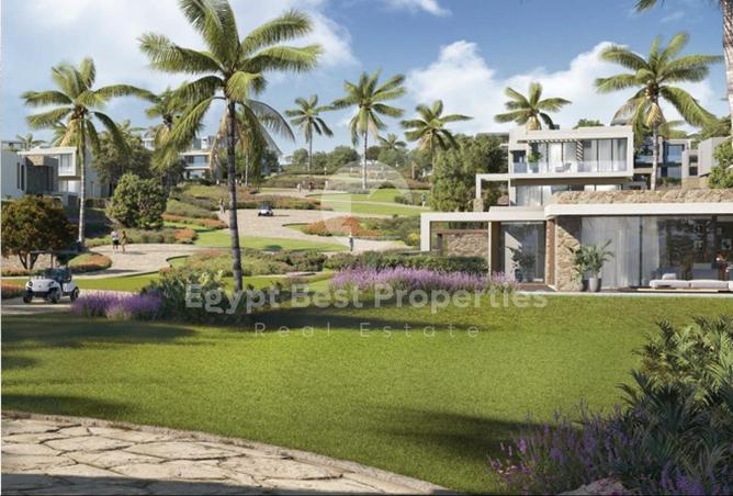 55502975 - صورة العقار 3