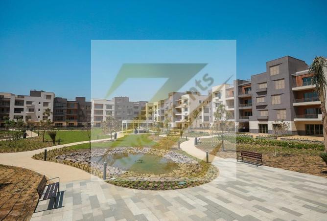 52188639 - Property Image 3